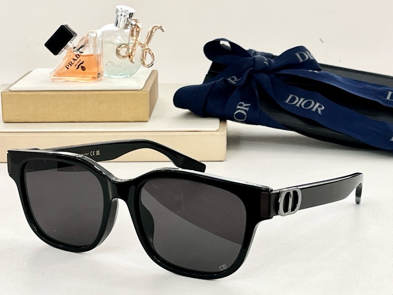 DIOR Sunglasses 7